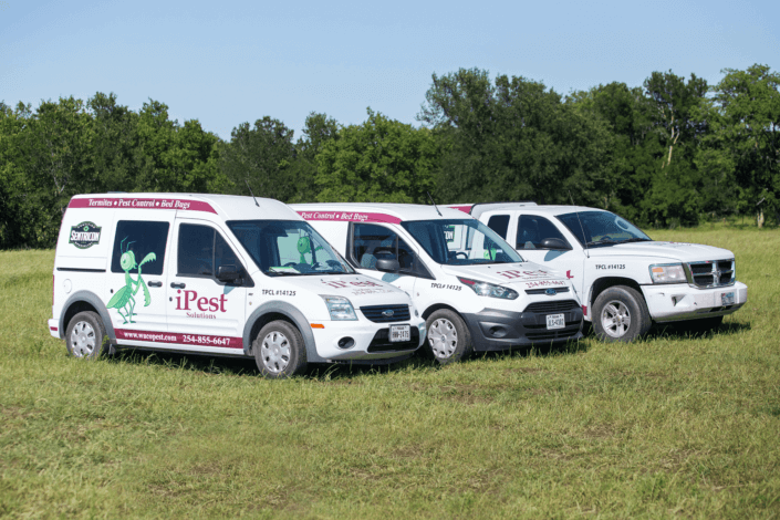 Waco Pest Control Termite Control Ipest Solutions Waco Exterminator